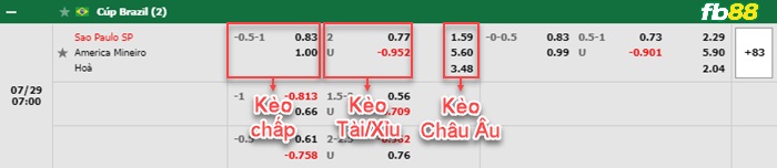 Fb88 bảng kèo trận đấu Sao Paulo vs America MG