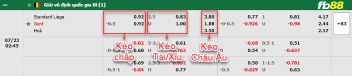 Fb88 bảng kèo trận đấu Standard vs Gent