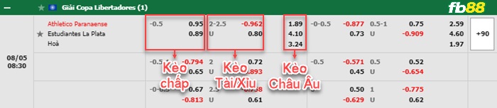 Fb88 bảng kèo trận đấu Atletico Paranaense vs Estudiantes