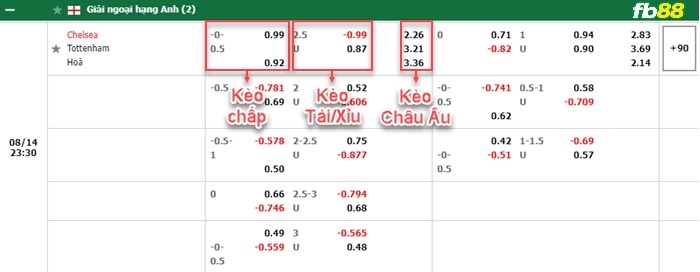 Fb88 bảng kèo trận đấu Chelsea vs Tottenham