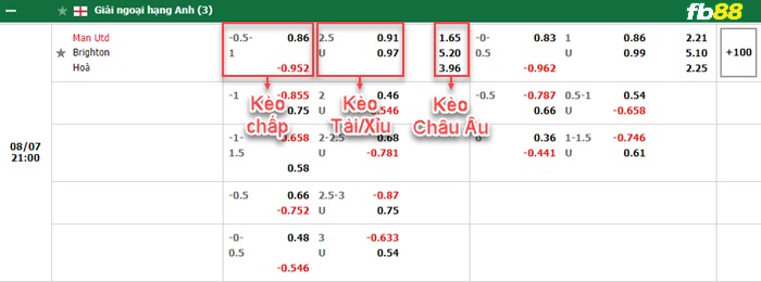 Fb88 bảng kèo trận đấu Man Utd vs Brighton
