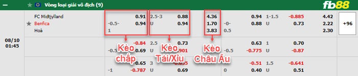 Fb88 bảng kèo trận đấu Midtjylland vs Benfica