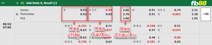 Fb88 bảng kèo trận đấu Santos vs Fluminense