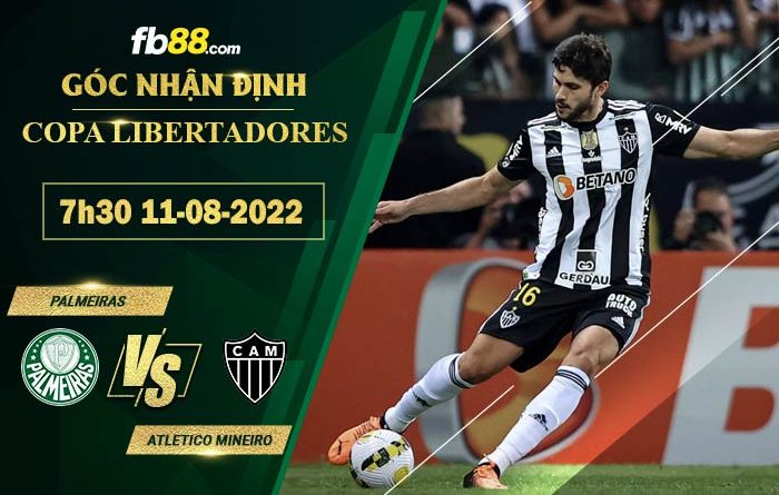 Fb88 soi kèo trận đấu Palmeiras vs Atletico Mineiro