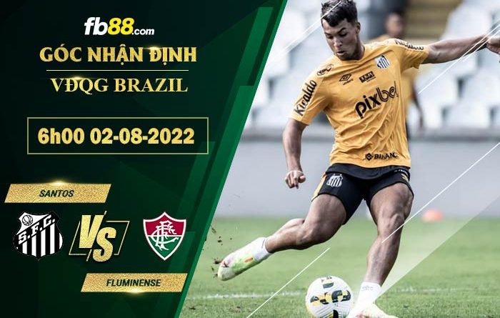 Fb88 soi kèo trận đấu Santos vs Fluminense