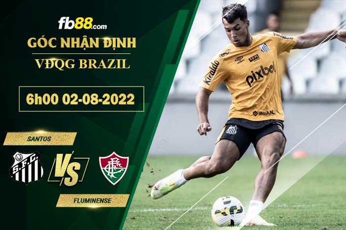 Fb88 soi kèo trận đấu Santos vs Fluminense