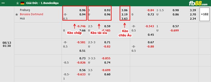 fb88 tỷ lệ kèo chấp Freiburg vs Dortmund