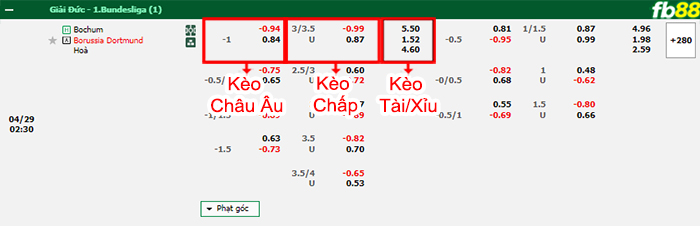 Fb88 bảng kèo trận đấu Bochum vs Dortmund