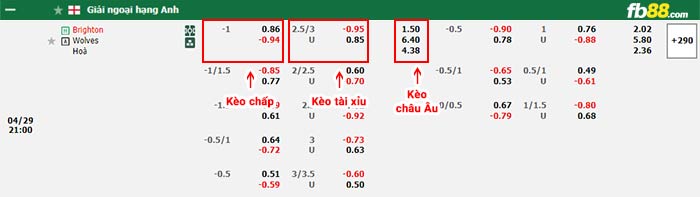 fb88 tỷ lệ kèo chấp Brighton vs Wolves