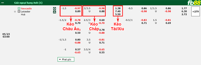 Fb88 bảng kèo trận đấu Newcastle vs Leicester