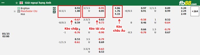 fb88 tỷ lệ kèo chấp Brighton vs Man City