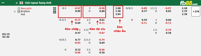 fb88 tỷ lệ kèo chấp Newcastle vs Brighton