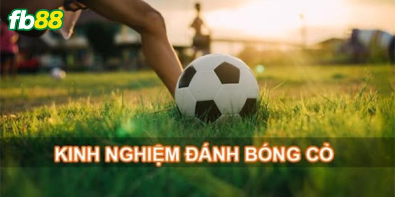 Kinh nghiệm đánh bóng cỏ