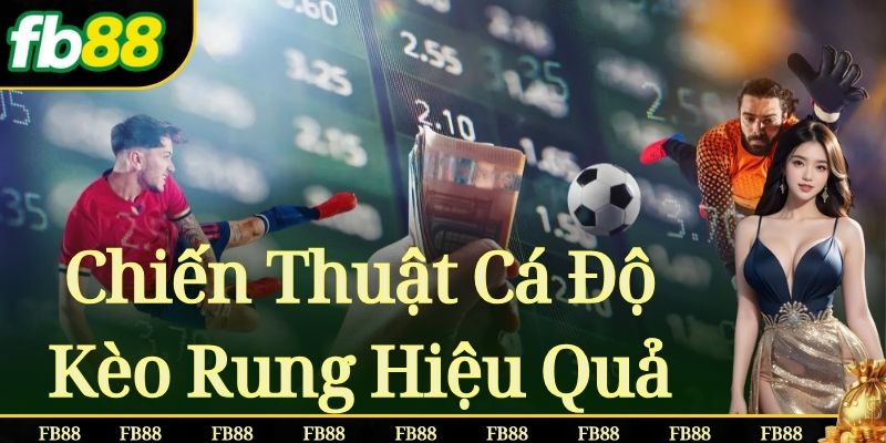 Chiến Thuật Cá độ Kèo Rung Hiệu Quả