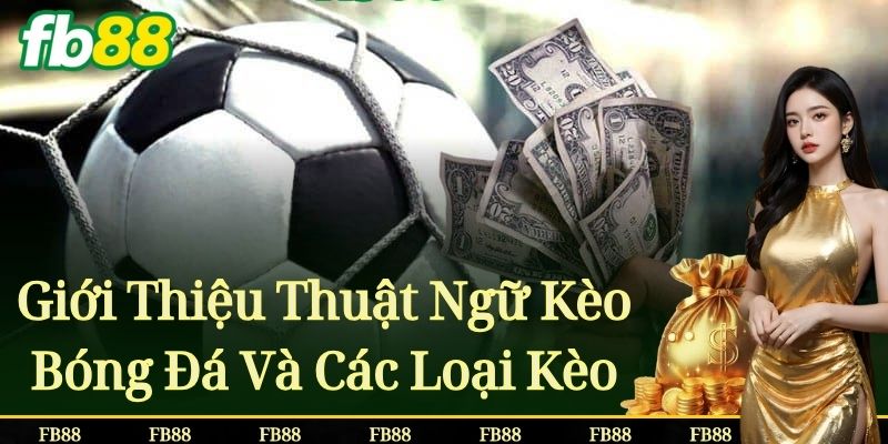 Giới Thiệu Thuật Ngữ Kèo Bóng Đá Và Các Loại Kèo