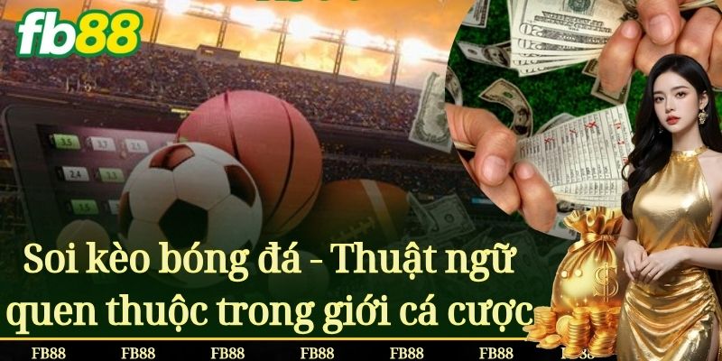 Soi kèo bóng đá là gì? Tìm hiểu thuật ngữ quen thuộc trong giới cá cược