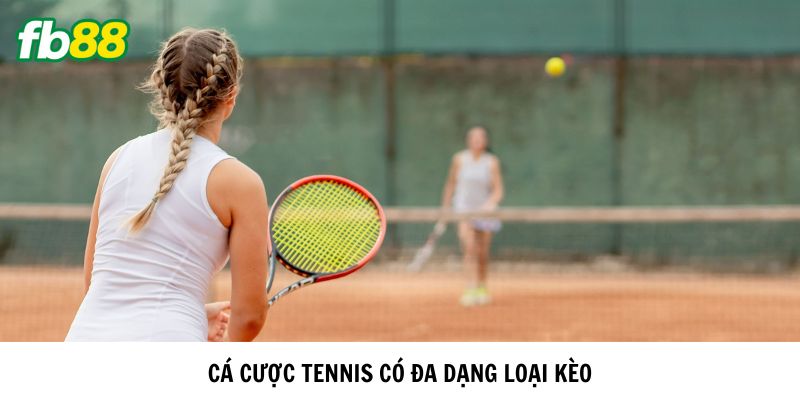 Cá cược tennis có đa dạng loại kèo