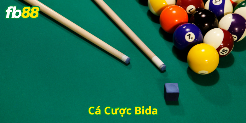 Cá Cược Bida có gì thu hút