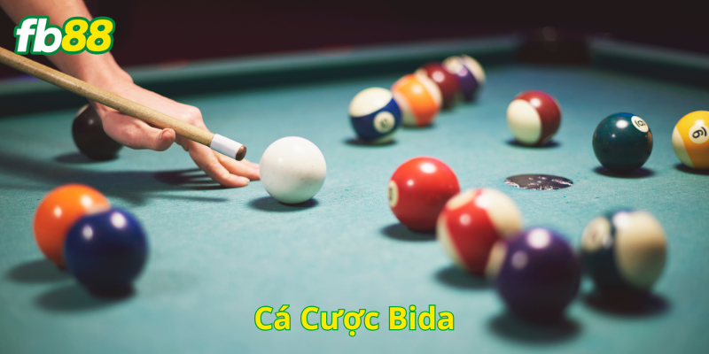 Đẳng cấp Cá Cược Bida