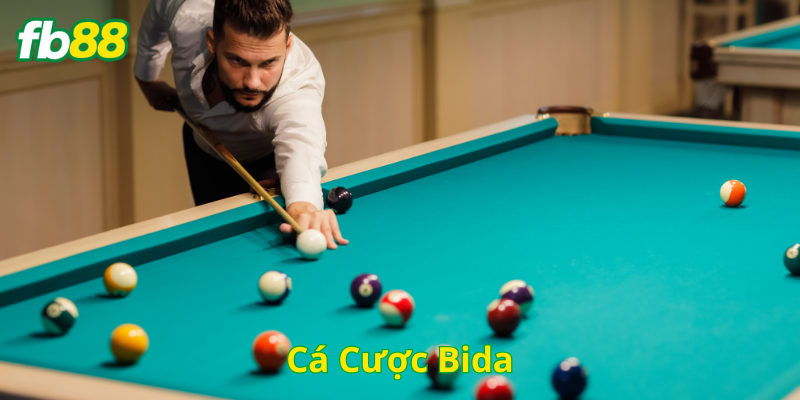 Mẹo hay soi kèo Cá Cược Bida