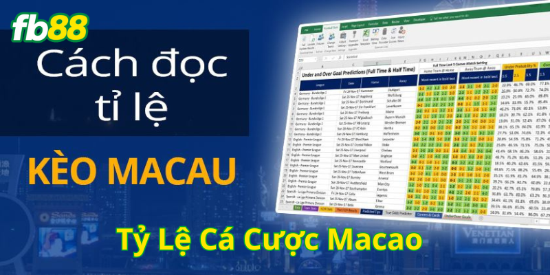 Tỷ Lệ Cá Cược Macao là gì? 